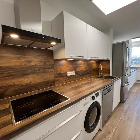 Penthouse With 110 Sqm Mountain View Lejlighed München